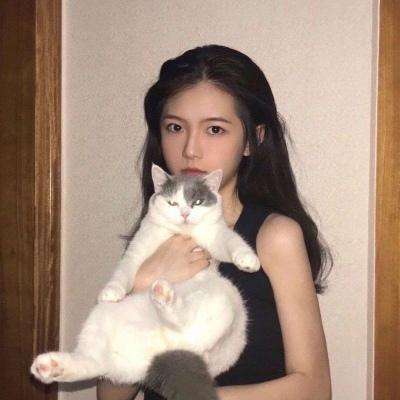 口袋幻兽超梦满v变态版下载
